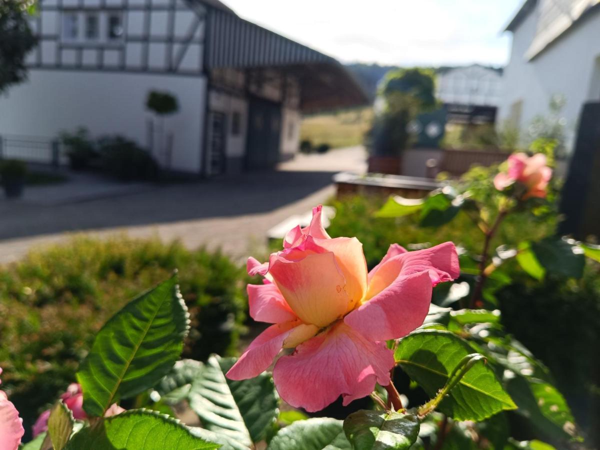 Kleine Auszeit Apartamento Eslohe Exterior foto